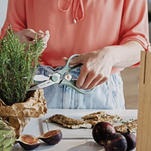 Kitchen Scissors Forest