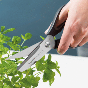 Kitchen Scissors Forest